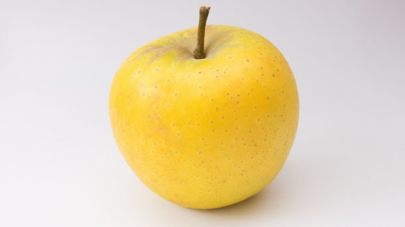 The Yello apple. 