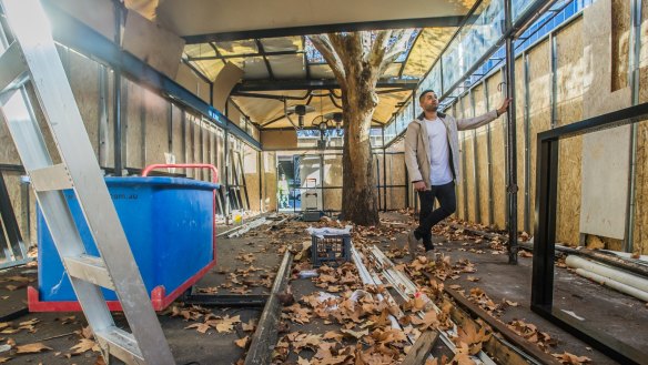 Gus's Cafe in Canberra's CBD will open as a refurbished Gus' place- the heritage listed tree will not be touched in the transformation of the outdoor eating area.