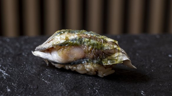 Mackerel nigiri daubed with pickled kombu.