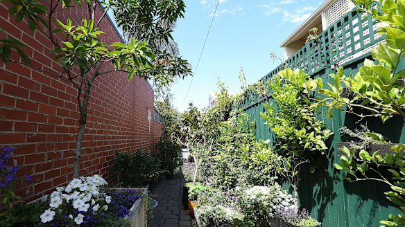 A laneway garden in North Carlton, cultivated by local residents for a decade, was ripped out in March by Yarra Council after complaints.
