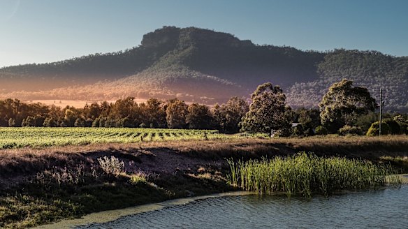 Located in the tranquil, less-visited subregion of Broke Fordwich, Margan is an elegant European-style winery with an award-winning fine-dining restaurant.