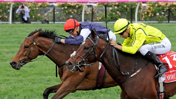 Almandin faces a stiff rise in the weights on his win last year.