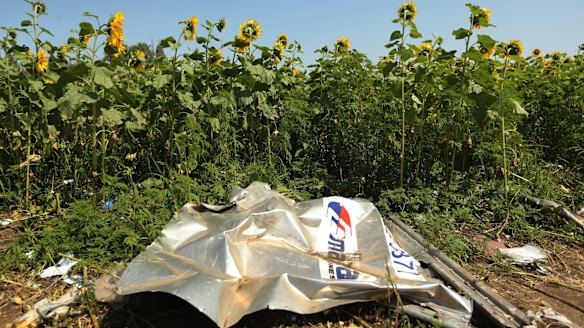 MH17 crashed over Donetsk, Ukraine after being shot down by Russia-backed rebels using a Russian missile.