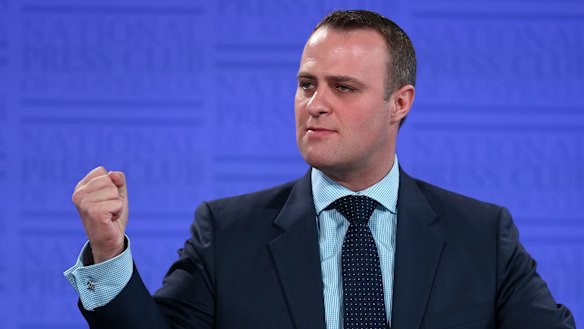 Human Rights Commissioner Tim Wilson to seek Goldstein preselection