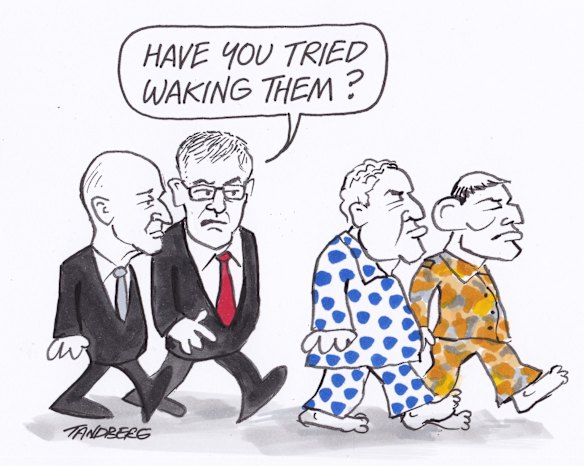 <i>Illustration: Ron Tandberg</i>