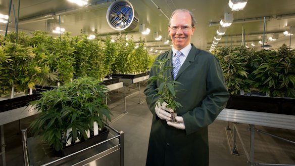 Cann Group chief executive Peter Crock.