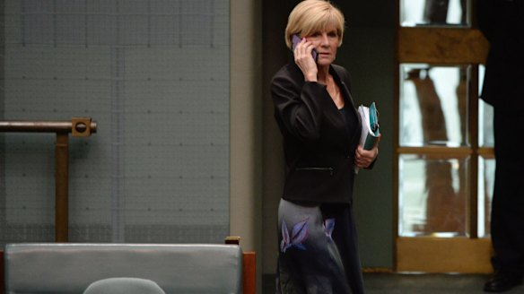 Julie Bishop says the government is providing consular assistance to James Ricketson.