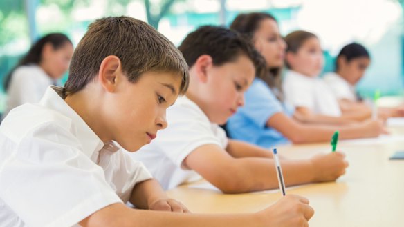Online NAPLAN tests were supposed to begin this year, but the states and territories pulled out, citing concerns about technological glitches.