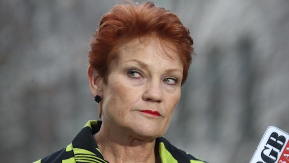 One Nation senator Pauline Hanson.