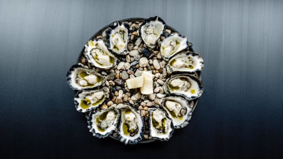 Freshly shucked oysters taken from a tank filled with seawater.