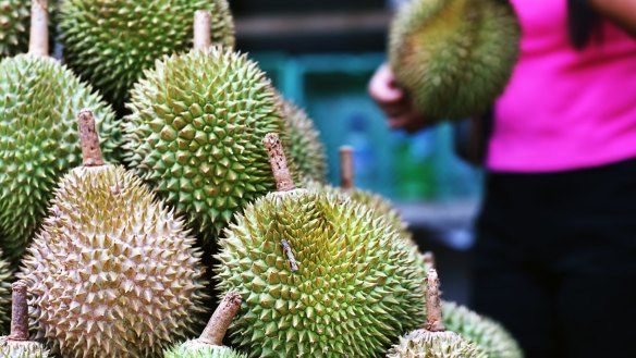 Durians are a divisive fruit from Asia and known for their strong aroma.  