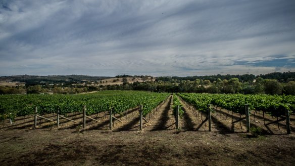 The vineyard was formerly Lambert Vineyards until 2012.