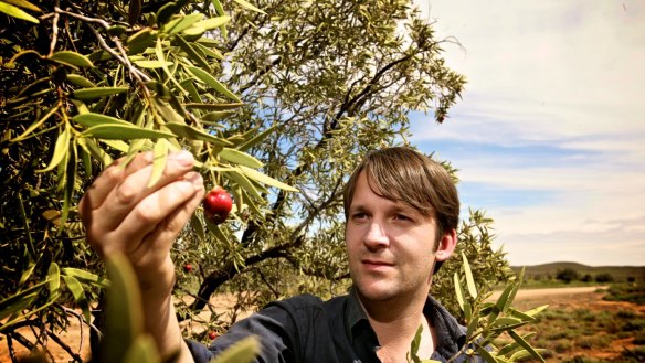 Chef Rene Redzepi foraging for quandongs on a visit to South Australia.