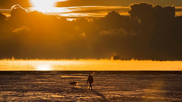 Scientists calculate that 2017 was close to the hottest year on record.
