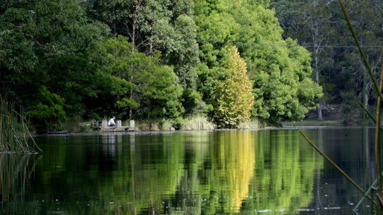 The Royal National Park, reserved in April 1879, was the world's second national park.