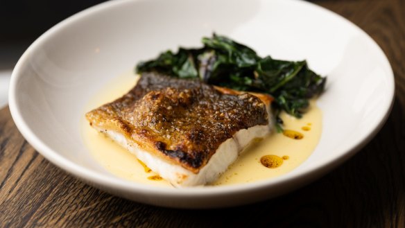 Grilled Murray cod at Freyja restaurant, one of several Melbourne venues who are featuring the native Australian fish on their menus.