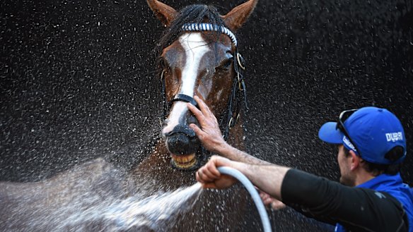 Hartnell, from the Godolphin stable, was the pre-race favourite.