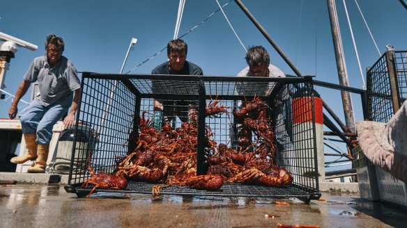 Apollo Bay Fishermen's Co-op now uses an in-shore trawler, the Tambo Bay, to fish just off the coast and serve a much larger array of seafood.