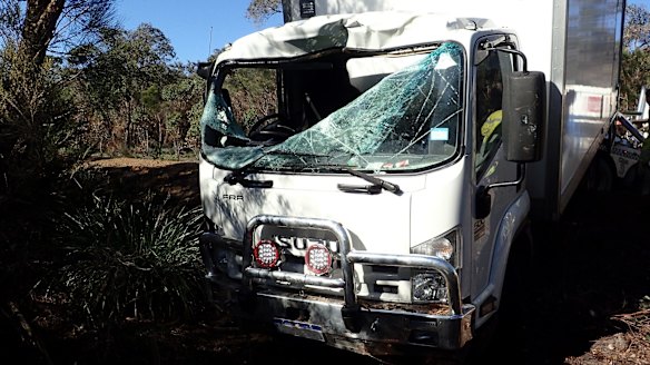 Truck driver killed after hitting roo near Albany