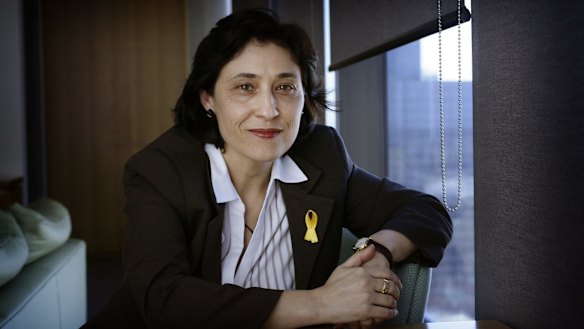 Victorian Energy Minister Lily D'Ambrosio has described the emergency meeting of federal and state energy ministers this Friday a political stunt. 