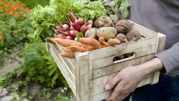 Eating organic ingredients can help cut the risk of cancer, a study has found. 