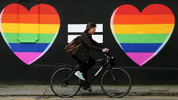 A voter in Ireland's gay marriage referendum.