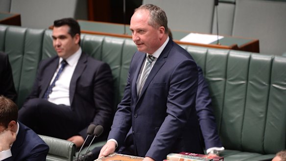 Deputy Prime Minister Barnaby Joyce said he was not "any sort of saint" during debate on gay marriage on Thursday. 