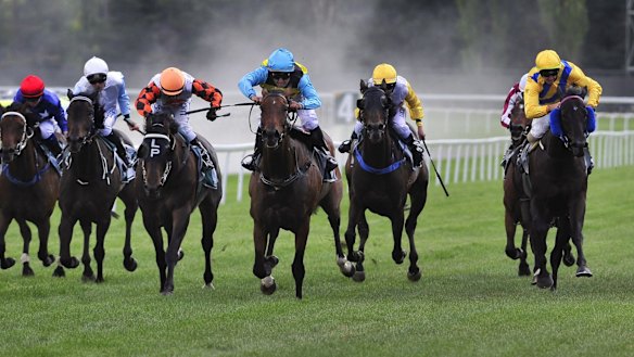 Racing Live to stream Victorian thoroughbred events