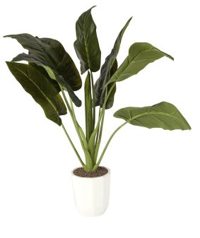 An artificial plant from Kmart.