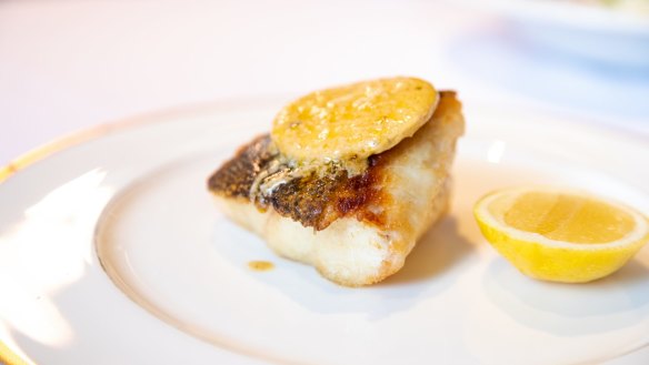 Seared Murray cod fillet with sea urchin butter.