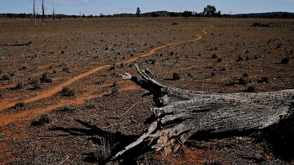 Tough work: Environment Minister Mark Speakman says the burden of biodiversity protection is increasingly falling to farmers.