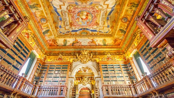 The books at Joanina Library are protected from insects by a colony of tiny bats. Yes. Really.