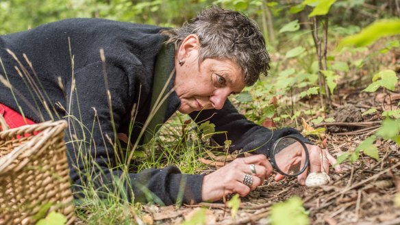 Fungi expert Alison Pouliot inspects a mushroom cap in Central Victoria.