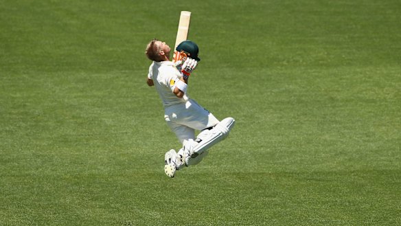 Glorious ton: David Warner celebrates his century.