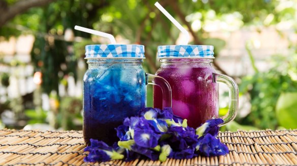 Butterfly pea flower gives its distinctive colour to blue chai.