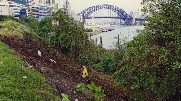 Lavendar Bay before Wendy Whiteley began work on it.