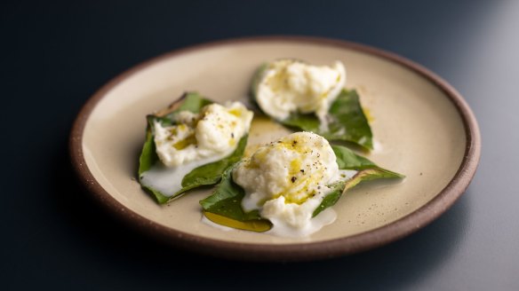 Mozzarella on lemon leaf.