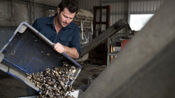 Detection of a virus that kills Pacific oysters has caused millions of dollars damage to the Tasmanian oyster industry.