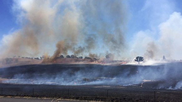 Fires burn in Orange on Saturday. 