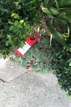 Suppertime's door hanger ads have been found on pavements, in parks and in the ocean.