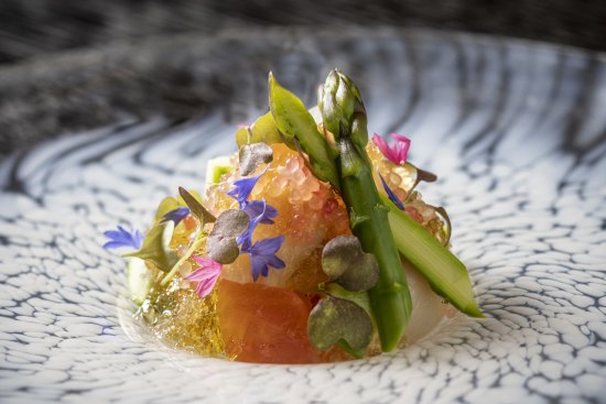 Scallop and abalone in dashi jelly.