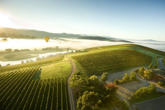 New Yarra Valley wineries are producing stylish wines that don't cost a fortune.