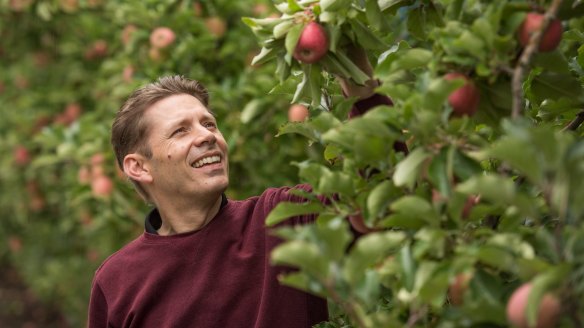 Rowan Little, general manager of Montague, one of Australia's oldest and largest apple growers and distributors. 