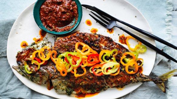 Grilled blue mackerel with red chermoula.