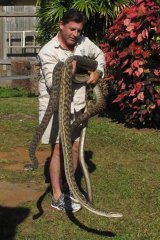 Snake handlers warn that untrained people should not pick up pythons.