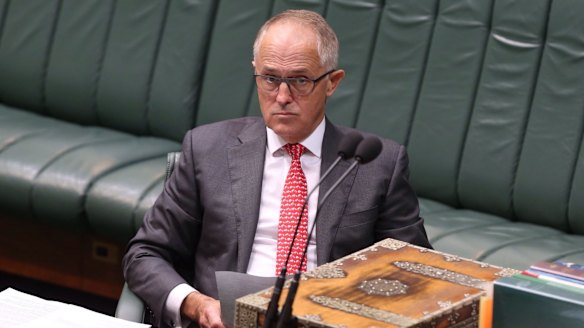Communications Minister Malcolm Turnbull at Parliament House.