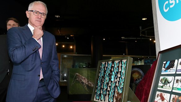 Prime Minister Malcolm Turnbull on Monday announced a suite of new tax incentives as part of its National Innovation and Science Agenda (NISA).