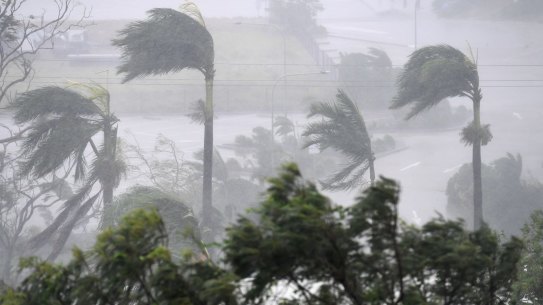 Cyclone Debbie has hit key growing areas around Bowen. 