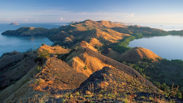 The Indonesian island of Flores.