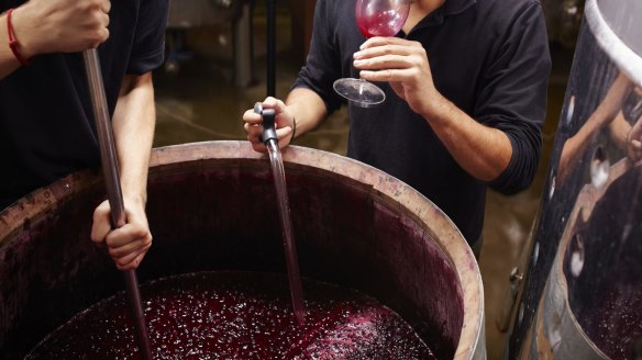 So, you want to be a winemaker? Here's where to start...